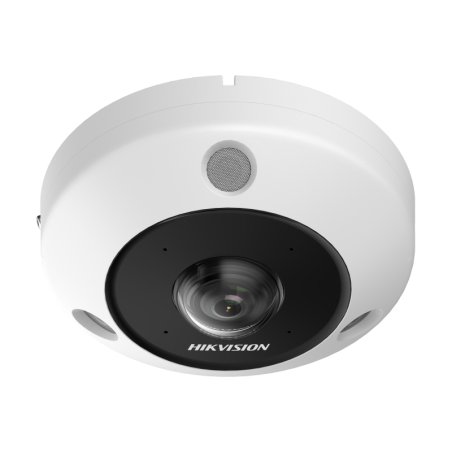 Camara Fisheye  IP 12 MP / 180° - 360° / Dewarping / Lente Inmervision / Heat Map / HEOP 2.0 / Conteo de Personas / IP67 / IK10 