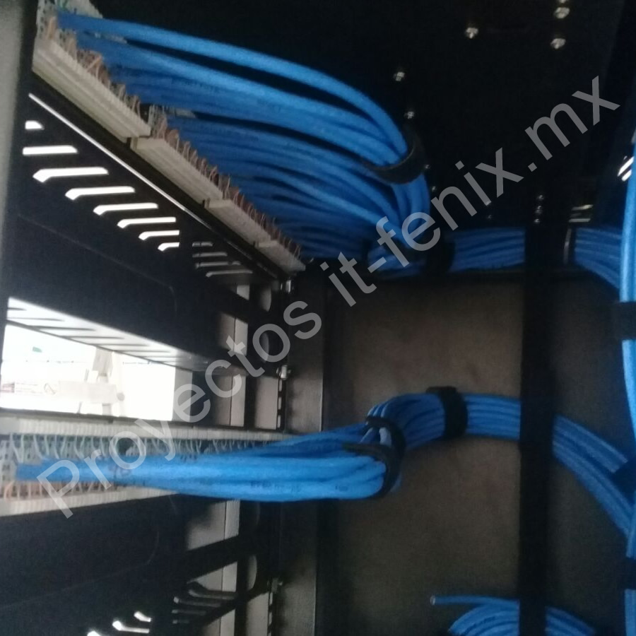 Cableado it fenix 